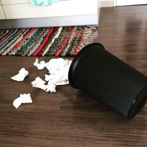 %e3%82%b4%e3%83%9f%e7%ae%b1