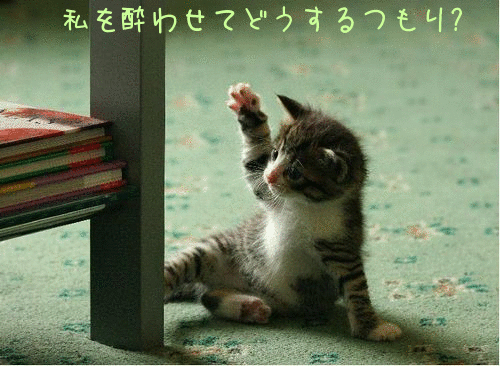 %e5%bf%98%e5%b9%b4%e4%bc%9a